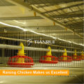 H Type Broiler Chicken Cage Sistema de alimentación de aves de corral para aves de corral